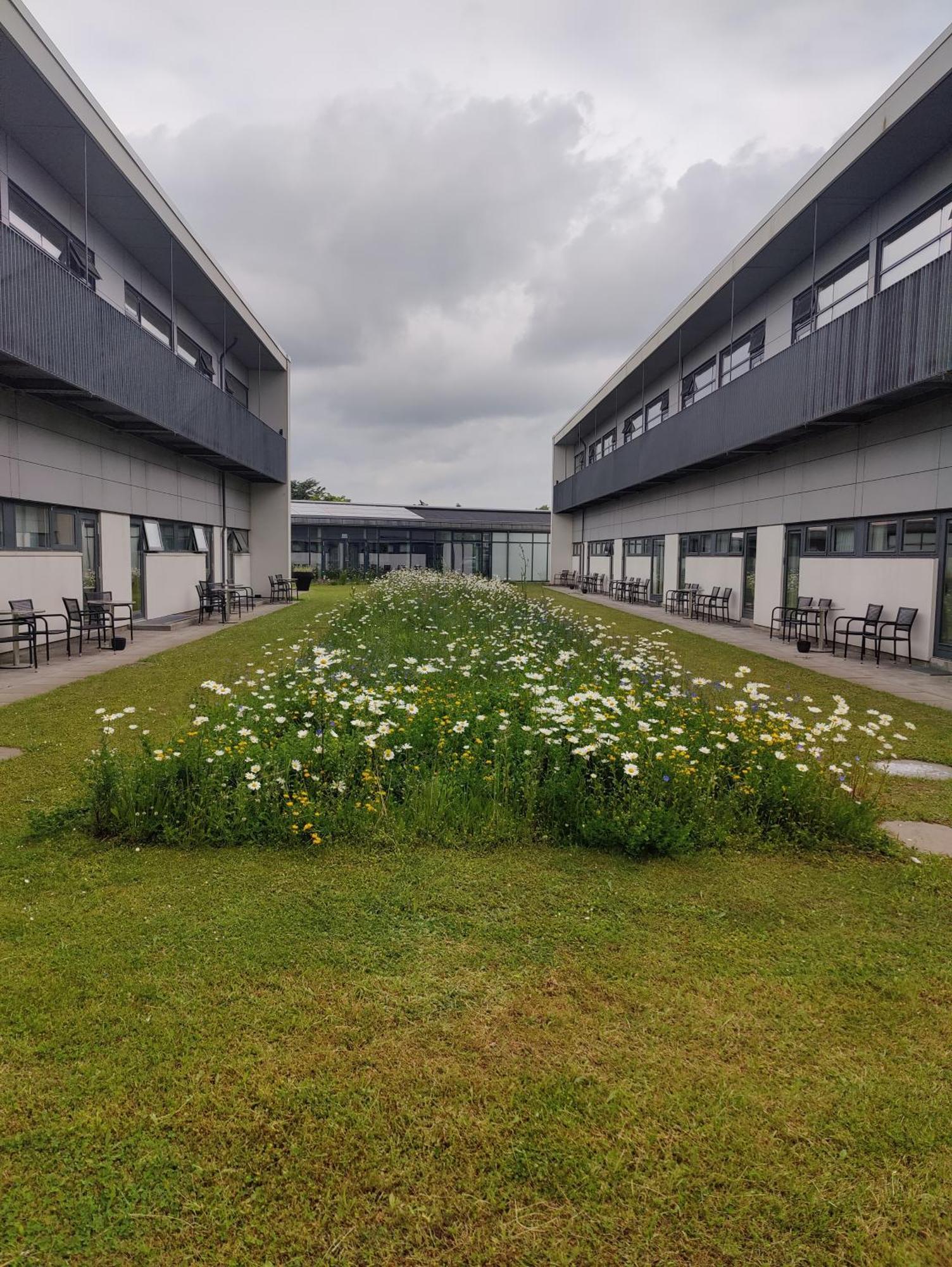 Storebaelt Sinatur Hotel & Konference Nyborg Esterno foto